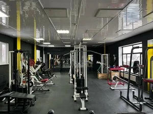 Alex Fit — фото из справочника
